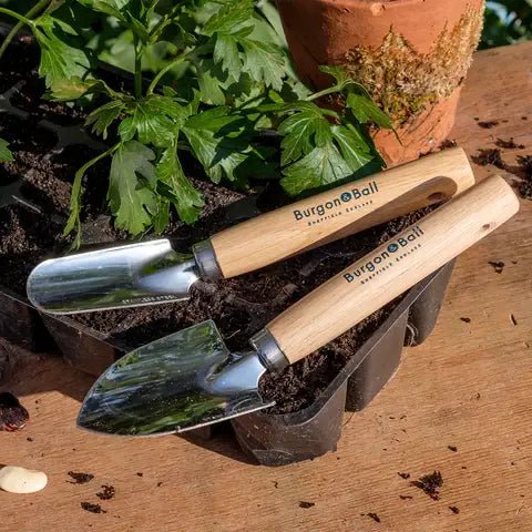 Burgon and Ball Burgon and Ball - Cell Tray Trowels - Trowel Shovel - AllotMate Essentials - GES/CELLTR -