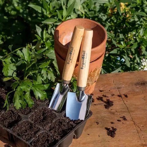 Burgon and Ball Burgon and Ball - Cell Tray Trowels - Trowel Shovel - AllotMate Essentials - GES/CELLTR -