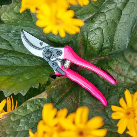 Burgon and Ball Burgon and Ball - Fluorescent Bypass Secateurs - Pink - Bypass Secateurs - AllotMate Essentials - GFB/BSPINK -