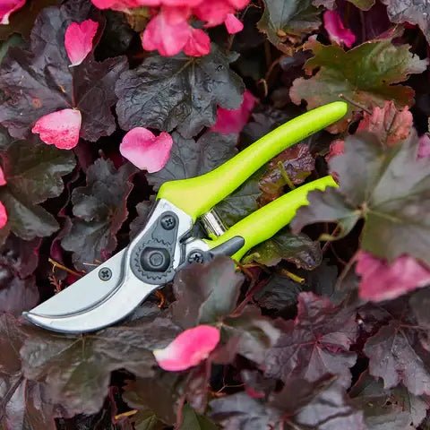 Burgon and Ball - Fluorescent Bypass Secateurs - Yellow - Bypass Secateurs - AllotMate Essentials - GFB/BSYELL