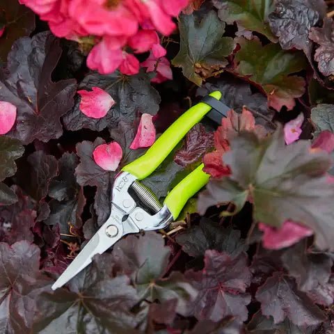 Burgon and Ball Burgon and Ball - Fluorescent Flower & Fruit Snip - Yellow - Flower & Fruit Snip - AllotMate Essentials - GFB/FSYELL -
