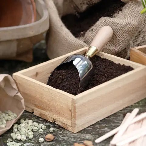 Burgon and Ball Burgon and Ball - Sophie Conran - Compost Scoop (Gift Boxed) - Compost Scoop - AllotMate Essentials - GSC/SCOOP -