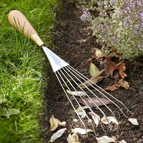 Burgon and Ball Burgon and Ball - Sophie Conran - Rake (Gift Boxed) - Rake - AllotMate Essentials - GSC/RAKE -
