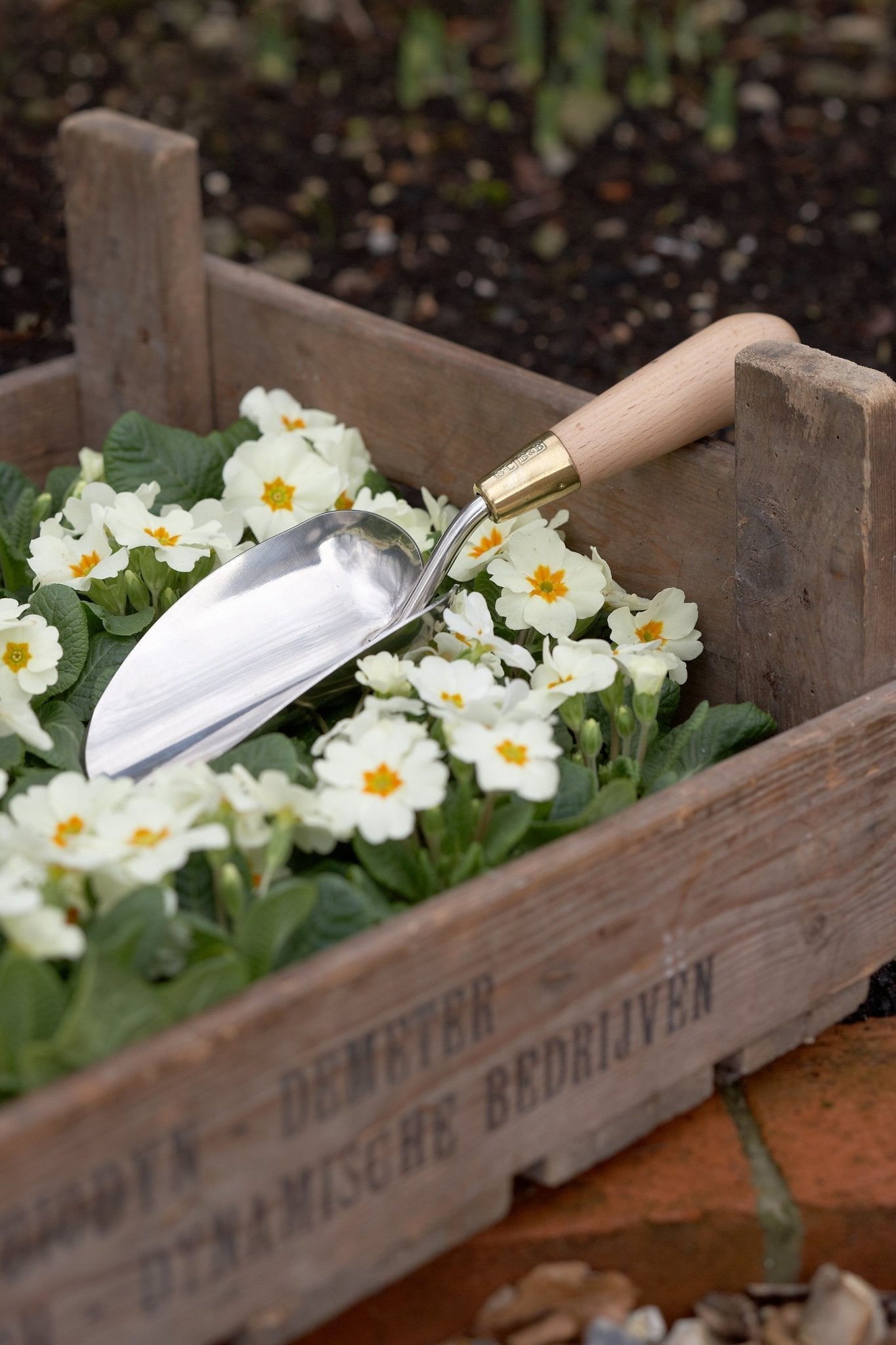 Burgon and Ball Burgon and Ball - Sophie Conran - Trowel (Gift Boxed) - Planting Trowel - AllotMate Essentials - GSC/TROW -