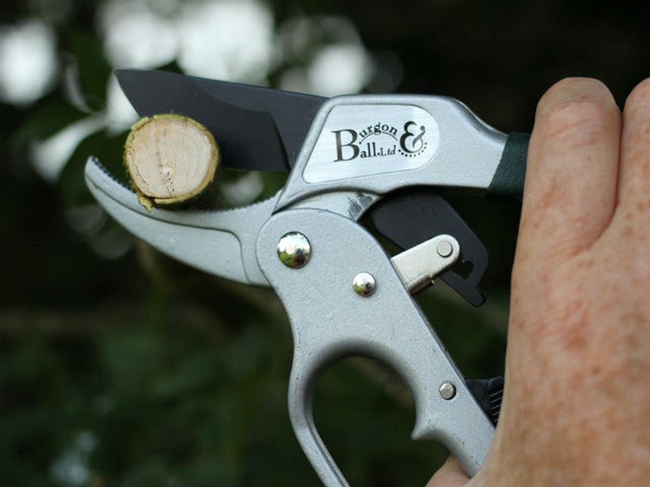 Burgon and Ball Burgon & Ball RHS Ratchet Pruner - Ratchet Pruner - The Online Garden Store - GTO/RP - 5019360004707