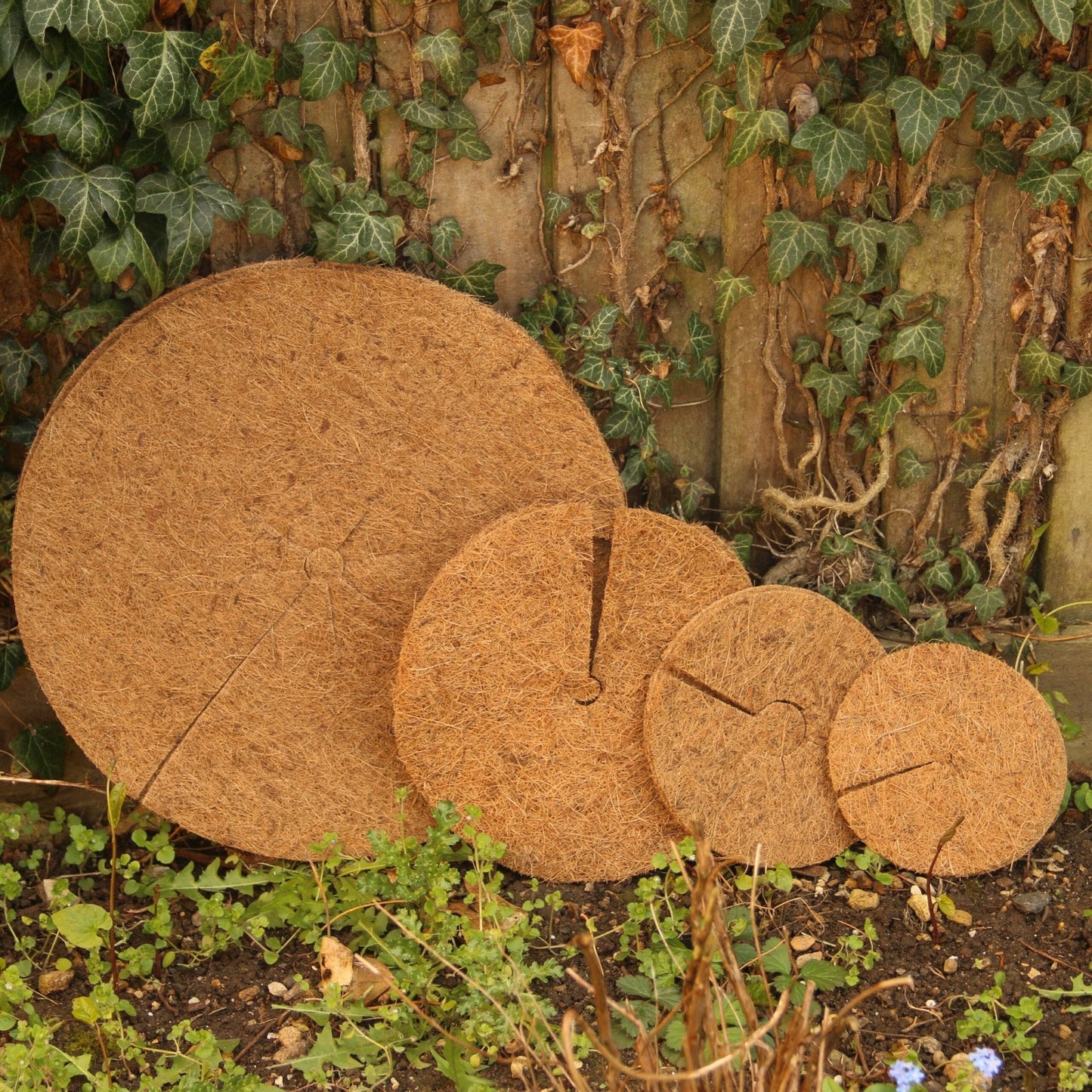 CoirProducts 40cm Mulch Mats (weed Control Mats) - Mulch Mat - AllotMate Essentials - CP40 - 24001042