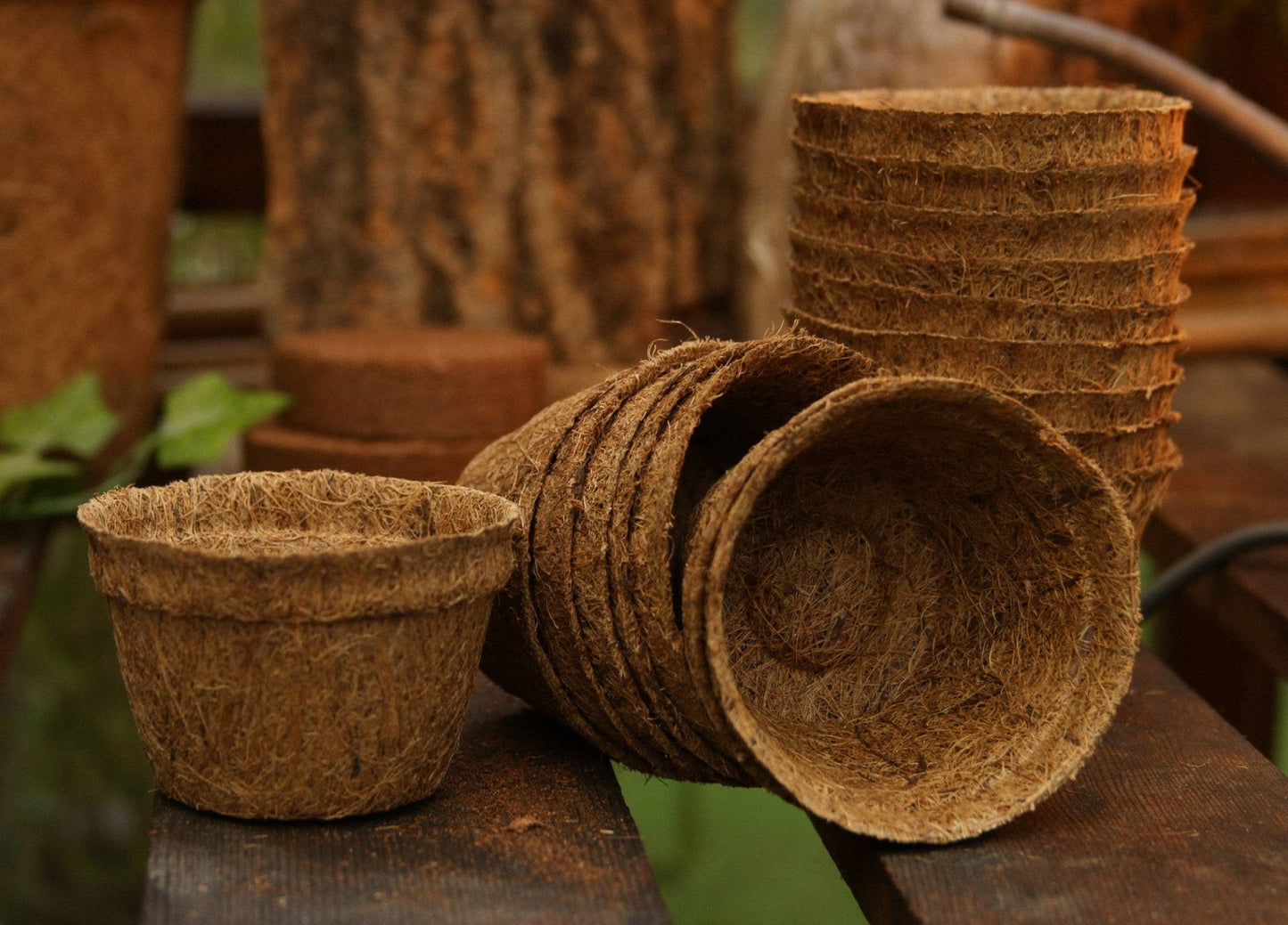 CoirProducts 8 cm Coir Pot | 100% Natural Plant Pot | - Pots - AllotMate Essentials - CP08 - 23640594