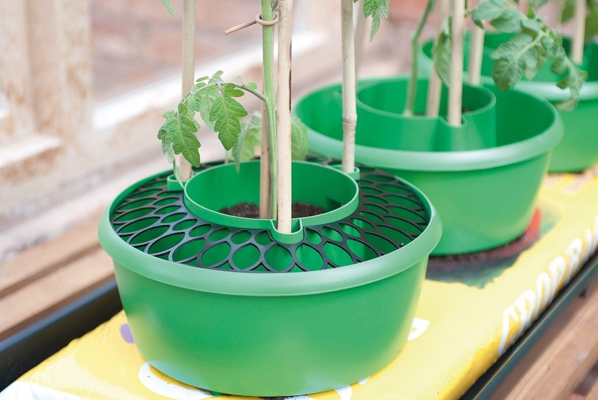 Garland Cover Grids for Plant Halos (Set of 3) - Plant Support - AllotMate Essentials - G168 - 5031670003157