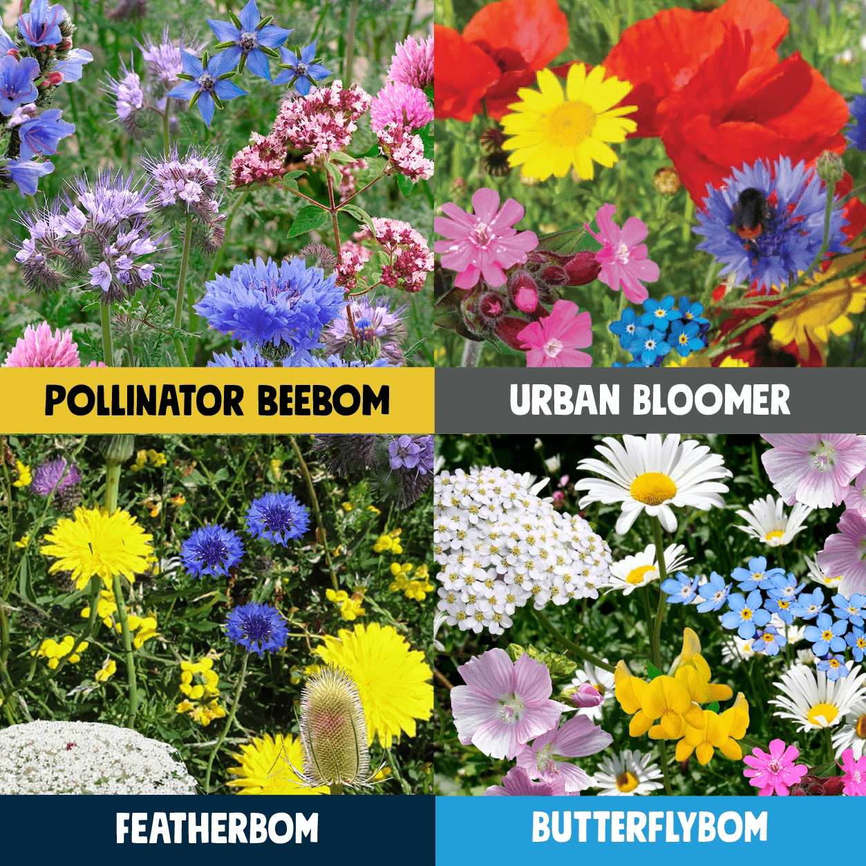 Kabloom Birds, Bees & Butterflies 4 Pack - Wildflowers - AllotMate Essentials - BB0014 - 05485074
