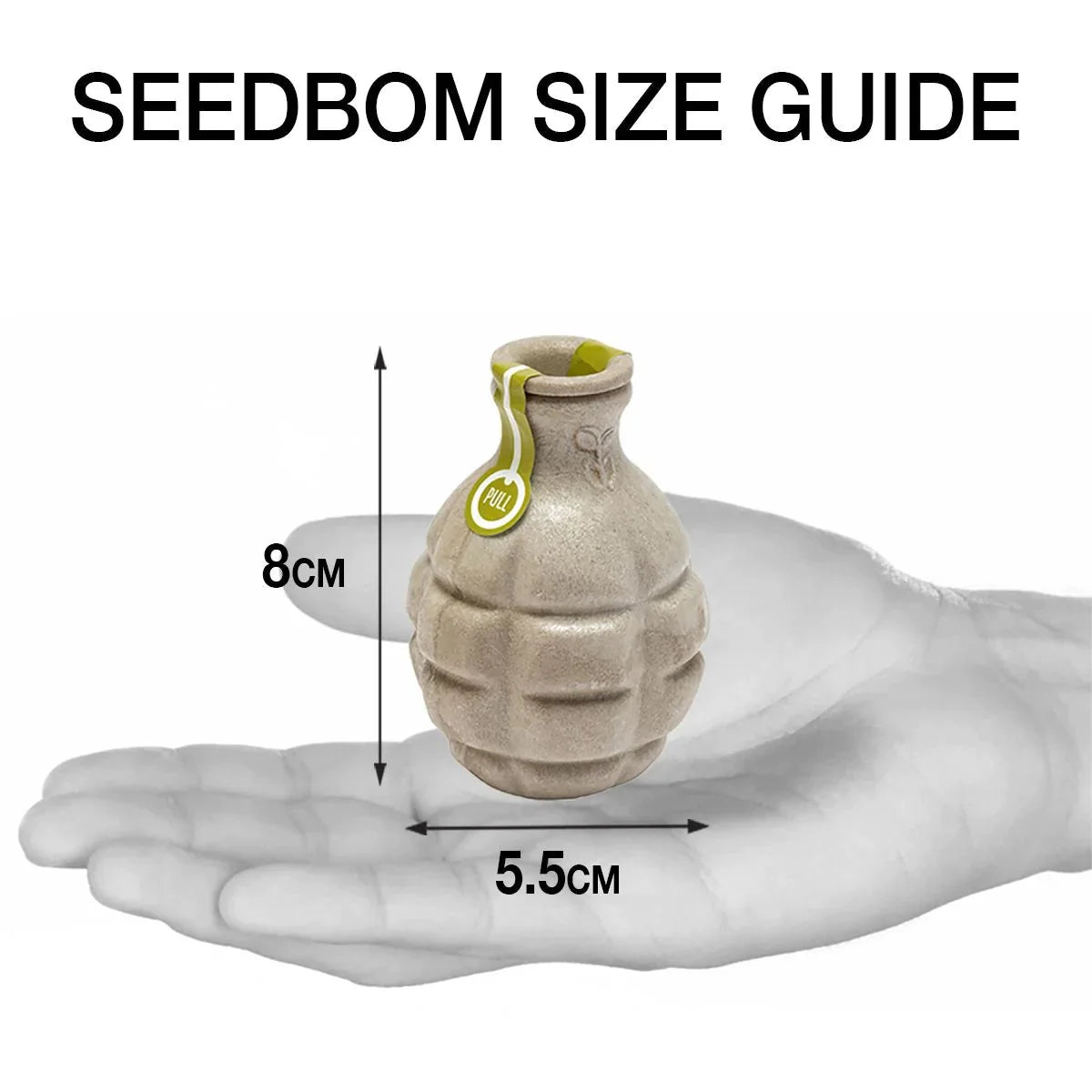 Kabloom Brilliant Botanics Seedbom Gift Box - Flower Seeds - AllotMate Essentials - BR0113 - 23571986