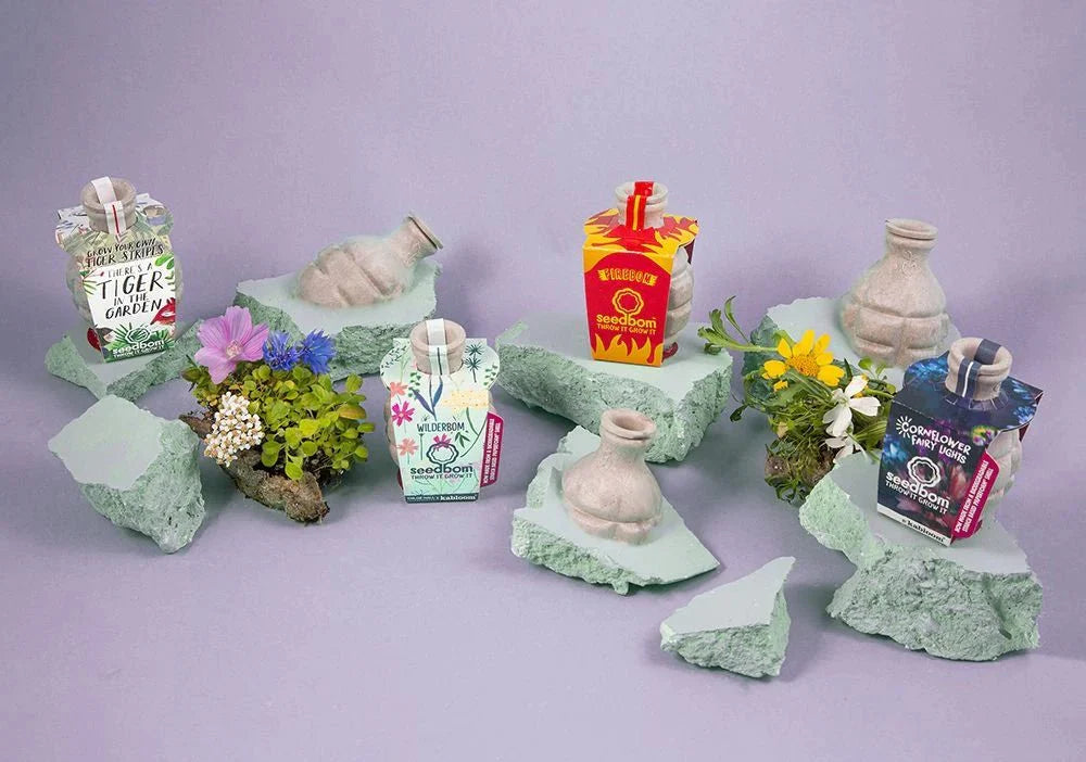 Kabloom Brilliant Botanics Seedbom Gift Box - Flower Seeds - AllotMate Essentials - BR0113 - 23571986