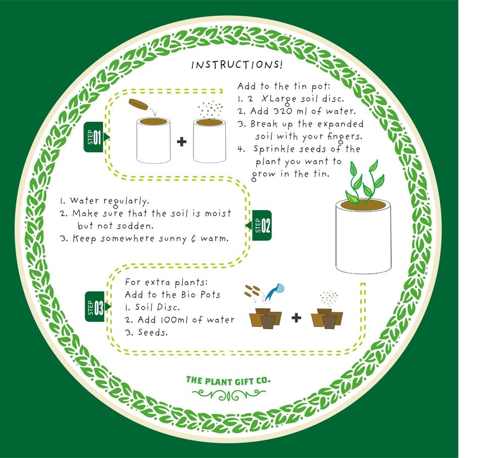 The Plant Gift Co. The Plant Gift Co. - Big Bee Happiness Eco Plant Grow Kit - Plant Growing Kit - The Online Garden Store - BIG - BEE - HPP -