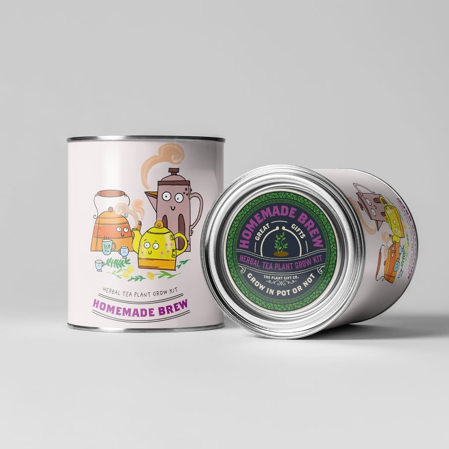 The Plant Gift Co. The Plant Gift Co. - Homemade Brew. Eco Grow Your Own Tea Kit - Herb Growing Kit - The Online Garden Store - HMM - BRW - GRW - YR -