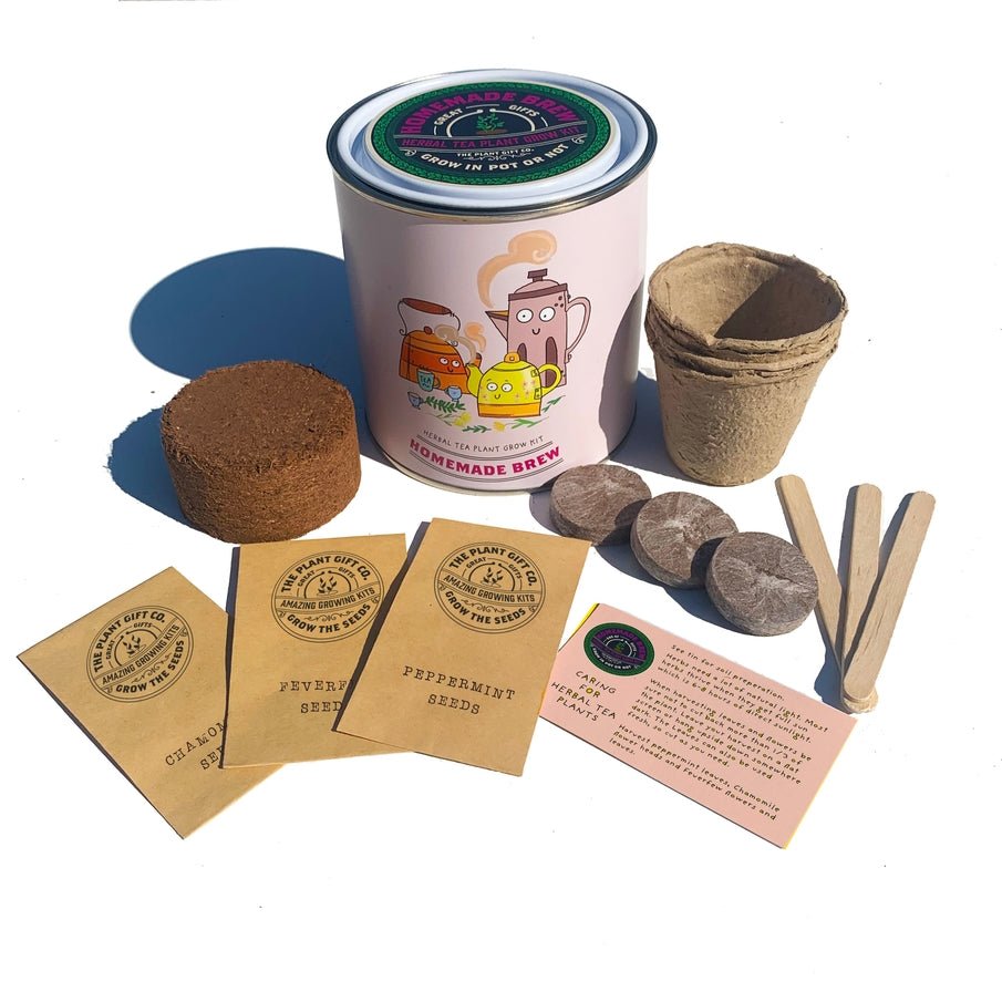 The Plant Gift Co. The Plant Gift Co. - Homemade Brew. Eco Grow Your Own Tea Kit - Herb Growing Kit - The Online Garden Store - HMM - BRW - GRW - YR -