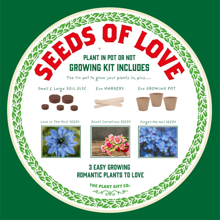 The Plant Gift Co. The Plant Gift Co. - Seeds of Love. Grow Your Own Plant Kit - Flower Plant Kit - The Online Garden Store - SDS - OF - LV - GRW -