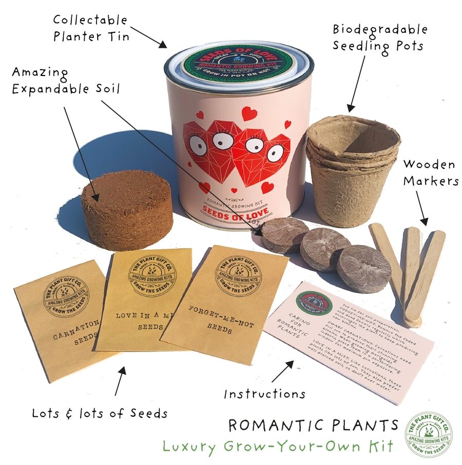 The Plant Gift Co. The Plant Gift Co. - Seeds of Love. Grow Your Own Plant Kit - Flower Plant Kit - The Online Garden Store - SDS - OF - LV - GRW -