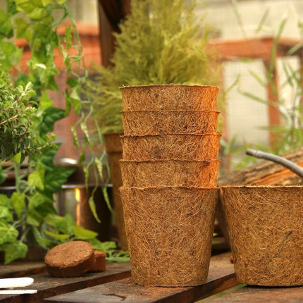 10cm Coir Plant Pots – 100% Biodegradable Pots & Peat-Free | Starter Pots