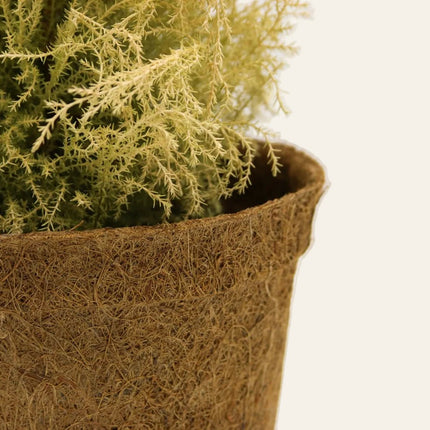 13cm Coir Plant Pots – 100% Biodegradable Pots & Peat-Free 1L | Ideal for Sowing & Growing