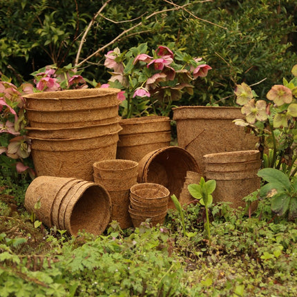 10cm Coir Plant Pots – 100% Biodegradable Pots & Peat-Free | Starter Pots