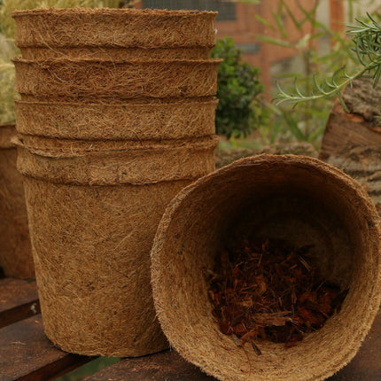 17cm Coir Plant Pots – 100% Biodegradable Pots & Peat-Free | Ideal for Growing On