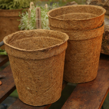 17cm Coir Plant Pots – 100% Biodegradable Pots & Peat-Free | Ideal for Growing On
