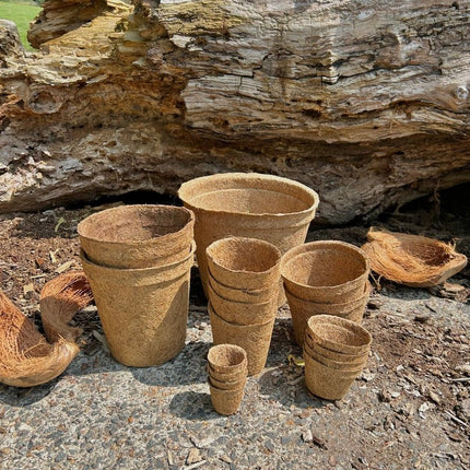 17cm Coir Plant Pots – 100% Biodegradable Pots & Peat-Free | Ideal for Growing On