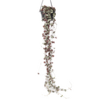 String of Hearts - Ceropegia linearis Woodii - Height 20-30cm - ⌀14cm