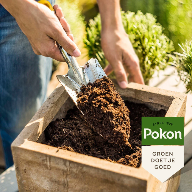 Pokon potting soil Compact - Coconut soil - Home and Garden - 10 liters