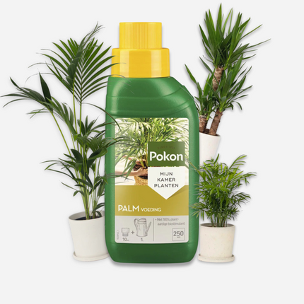 Pokon liquid plant food - palms - 250ml