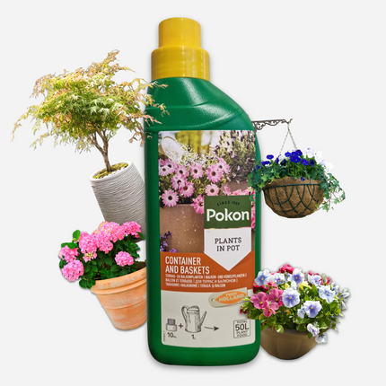 Pokon liquid fertiliser for terrace and balcony plants – 500 ml