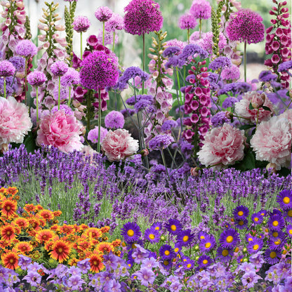 Our Hand Picked Selection of Butterfly and Bee Attracting Plants