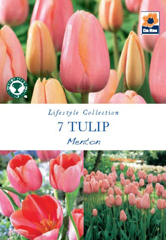 Tulip 'Menton' (5 Bulbs)