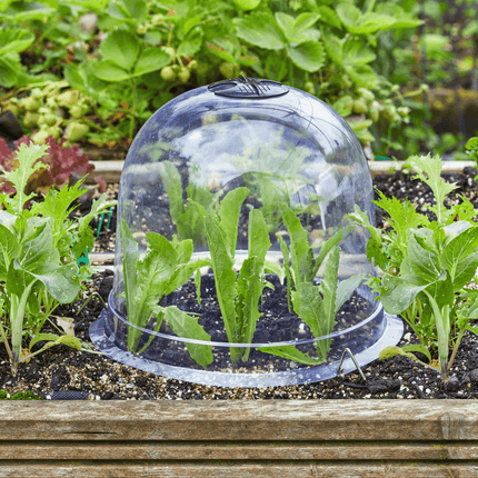 Bell Cloche Set, Pack of 3, 26 cm