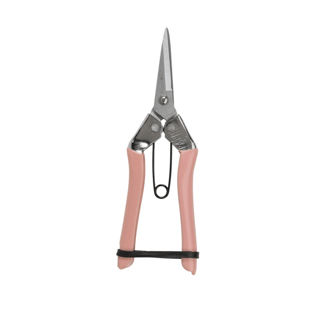 Collectors Fruit & Flower Snips – Blush Pink Precision Cutter | Burgon & Ball
