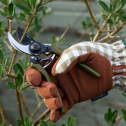 Collectors Micro Secateurs – Olive Green Precision Pruners | Burgon & Ball | Bypass Secateur | GCC/MPOLIVE 5019360204466 | AllotMate Essentials
