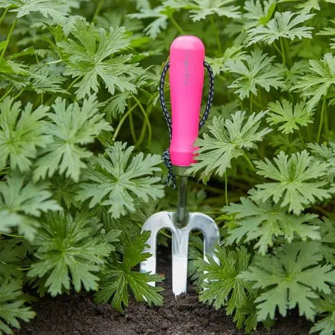 Burgon and Ball Burgon and Ball - Fluorescent Hand Fork - Pink - AllotMate Essentials - GFB/HFPINK - 