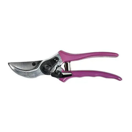 Secateur - RHS Gift Set with Asteraceae Design | FSC Tools by Burgon & Ball | Secateurs | GRH/SCBOXASTER 5019360203865 | AllotMate Essentials