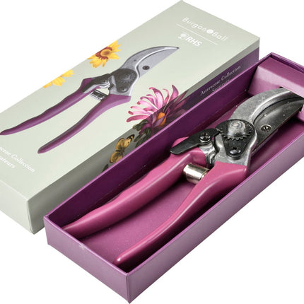 Secateur - RHS Gift Set with Asteraceae Design | FSC Tools by Burgon & Ball | Secateurs | GRH/SCBOXASTER 5019360203865 | AllotMate Essentials