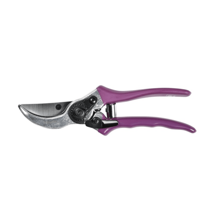 Secateur - RHS Gift Set with Asteraceae Design | FSC Tools by Burgon & Ball | Secateurs | GRH/SCBOXASTER 5019360203865 | AllotMate Essentials