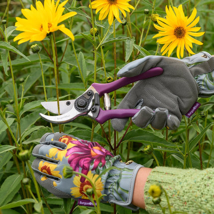 Secateur - RHS Gift Set with Asteraceae Design | FSC Tools by Burgon & Ball | Secateurs | GRH/SCBOXASTER 5019360203865 | AllotMate Essentials