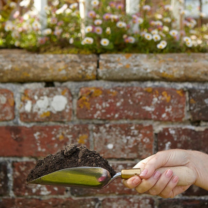 Trowel – Sophie Conran Gift Boxed Garden Tool | Burgon & Ball | Planting Trowel | GSC/TROW 5019360007845 | AllotMate Essentials