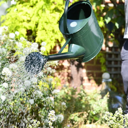 Burgon and Ball - Watering Can 9 Litre - British Racing Green - Watering Can - AllotMate Essentials - GTW/W9DG