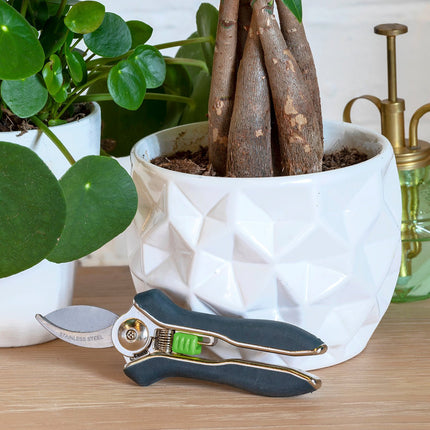Houseplant Pruner – Compact Precision Cutter for Indoor Plants | Burgon & Ball | Pruner | GIG/PRUNER 5019360014706 | AllotMate Essentials