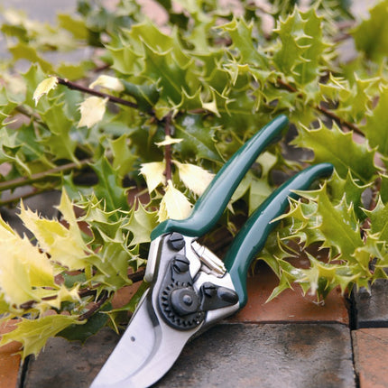 Professional Bypass Secateurs – High Performance Garden Pruners | RHS by Burgon & Ball | Bypass Secateur | GTO/PRB 5019360004714 | AllotMate Essentials