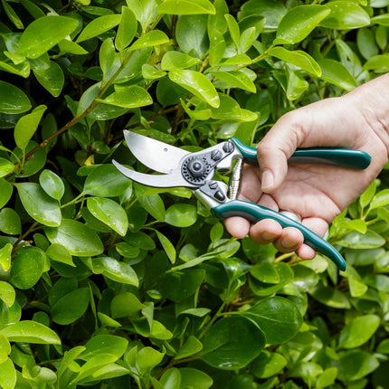 Professional Bypass Secateurs – High Performance Garden Pruners | RHS by Burgon & Ball | Bypass Secateur | GTO/PRB 5019360004714 | AllotMate Essentials