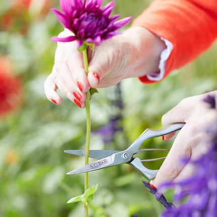 Precision Secateurs – Sophie Conran Gift Boxed Garden Tool | Burgon & Ball | Secateurs | GSC/PRESEC 5019360012153 | AllotMate Essentials