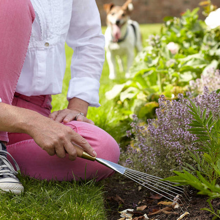 Hand Rake – Sophie Conran Gift Boxed Garden Tool | Burgon & Ball | Rake | GSC/RAKE 5019360010357 | AllotMate Essentials