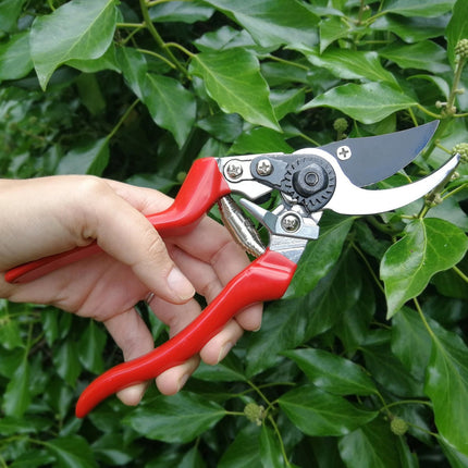Left - Handed Bypass Secateurs – Ergonomic Cutting Tool | RHS by Burgon & Ball | Left - handed Bypass Secateur | GTO/SCLH 5019360015888 | AllotMate Essentials