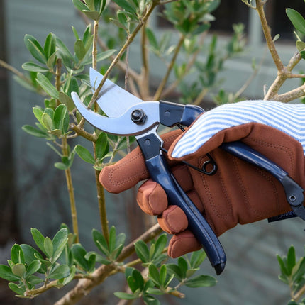 Burgon and Ball Collector Bypass Secateurs in Navy – High Carbon Steel Blade with Comfort Grip Handles