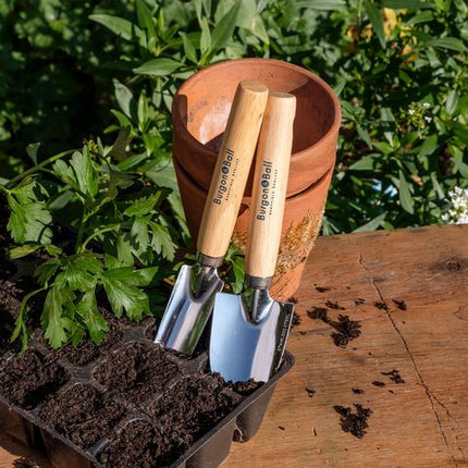 Cell Tray Trowels – Precision Tools for Seed Trays & Plugs | Burgon & Ball
